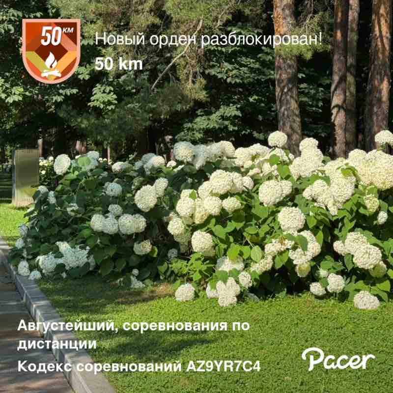 Артур Джанунц 🐯 post 1
