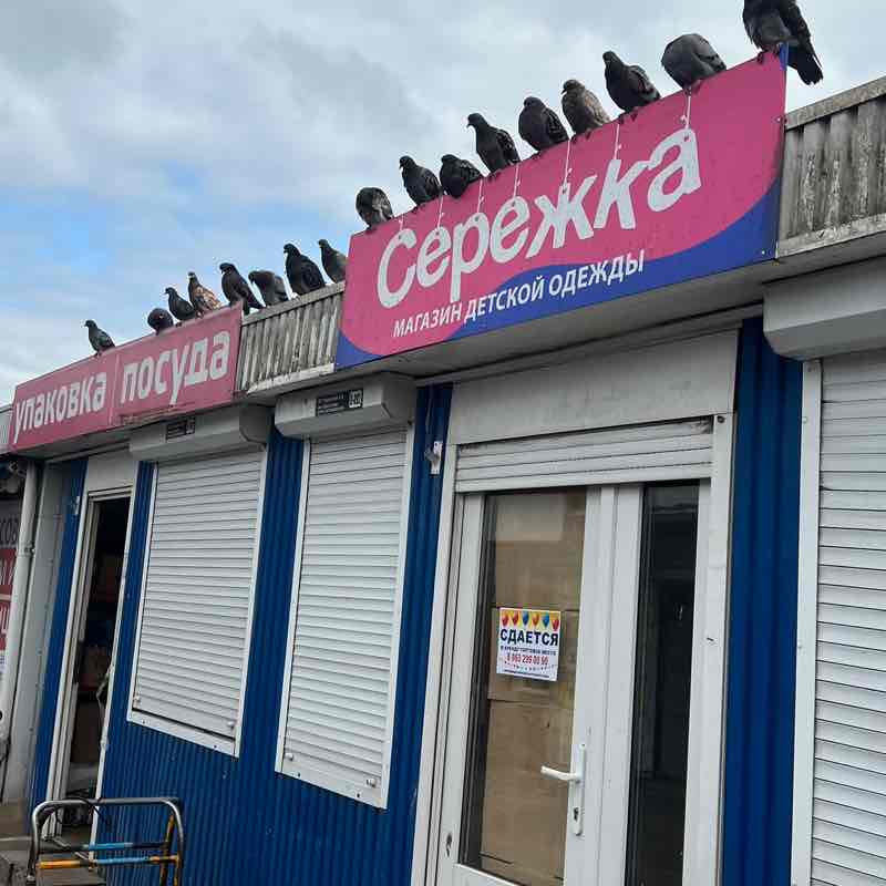 Смелые тапки💪 Наталья post image