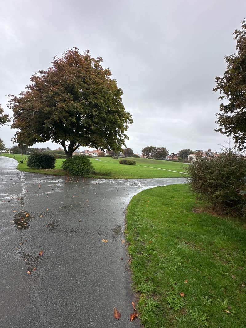 walking near me in Queens Park in autumn