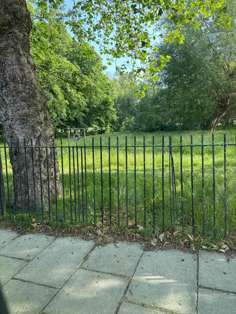 walking near me in Central Park in summer