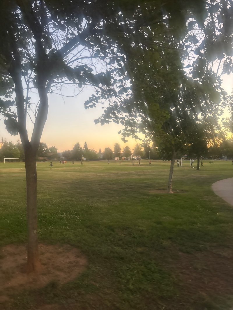 walking near me in Robert D. Cochran Park in summer