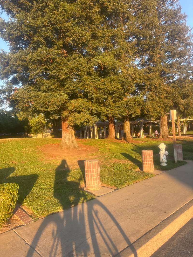walking near me in Caymus Park in autumn