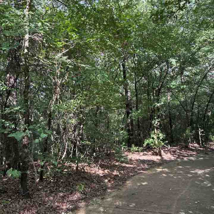 Willytheweiner post 1