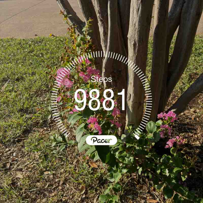 Willytheweiner post 1