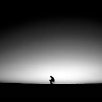 Chris 🇦🇷 profile