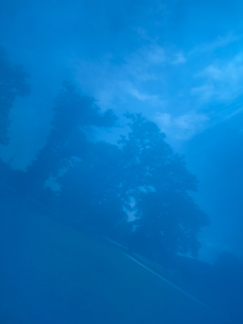 walking near me in Waterworks Prairie Park in summer