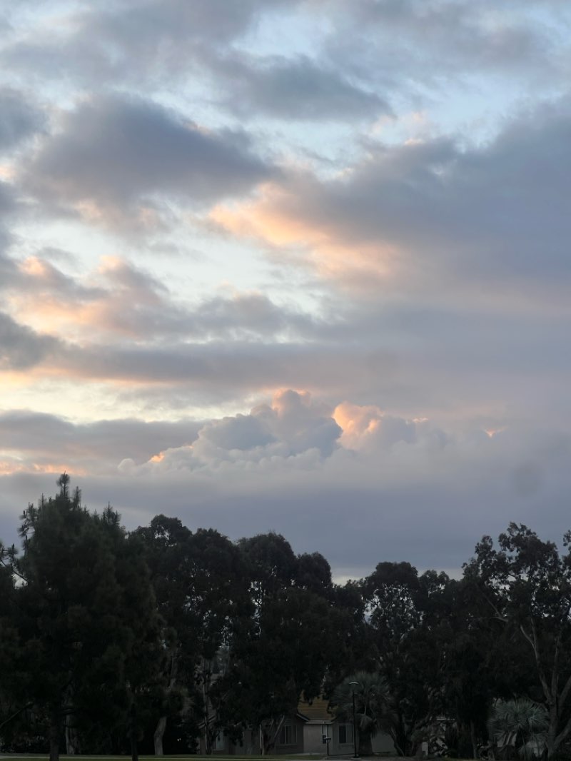 walking near me in Voyager Park in spring