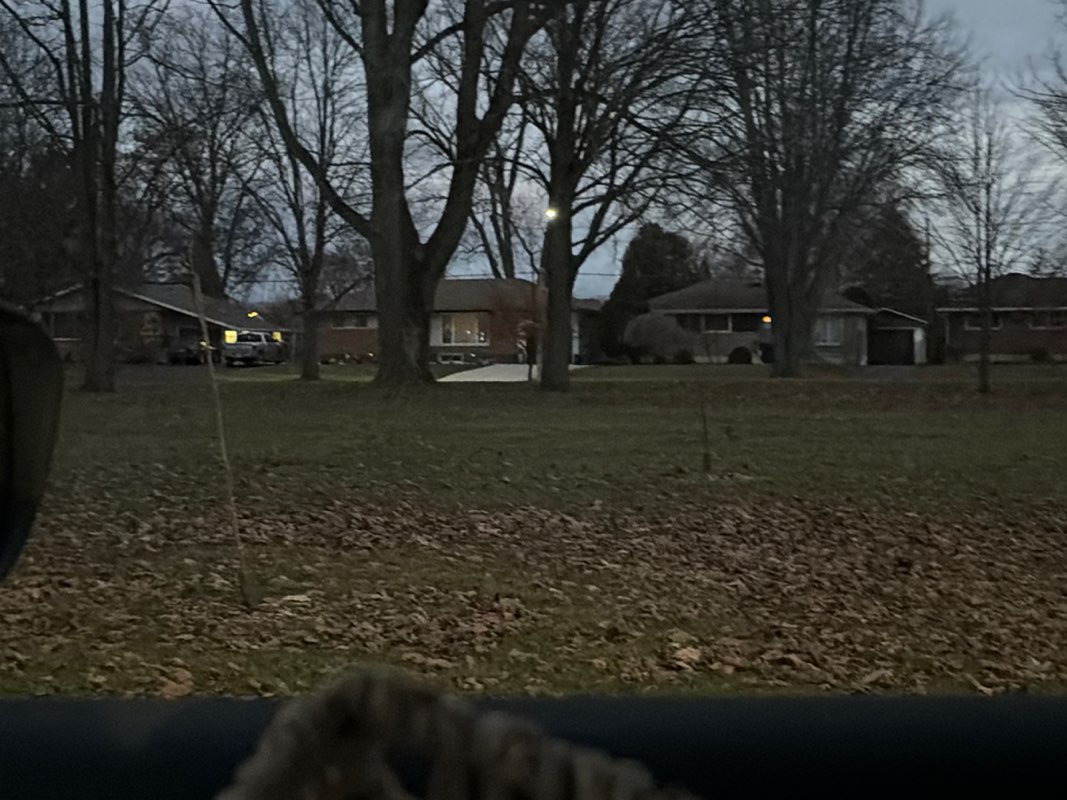 walking near me in Ellis Park in autumn