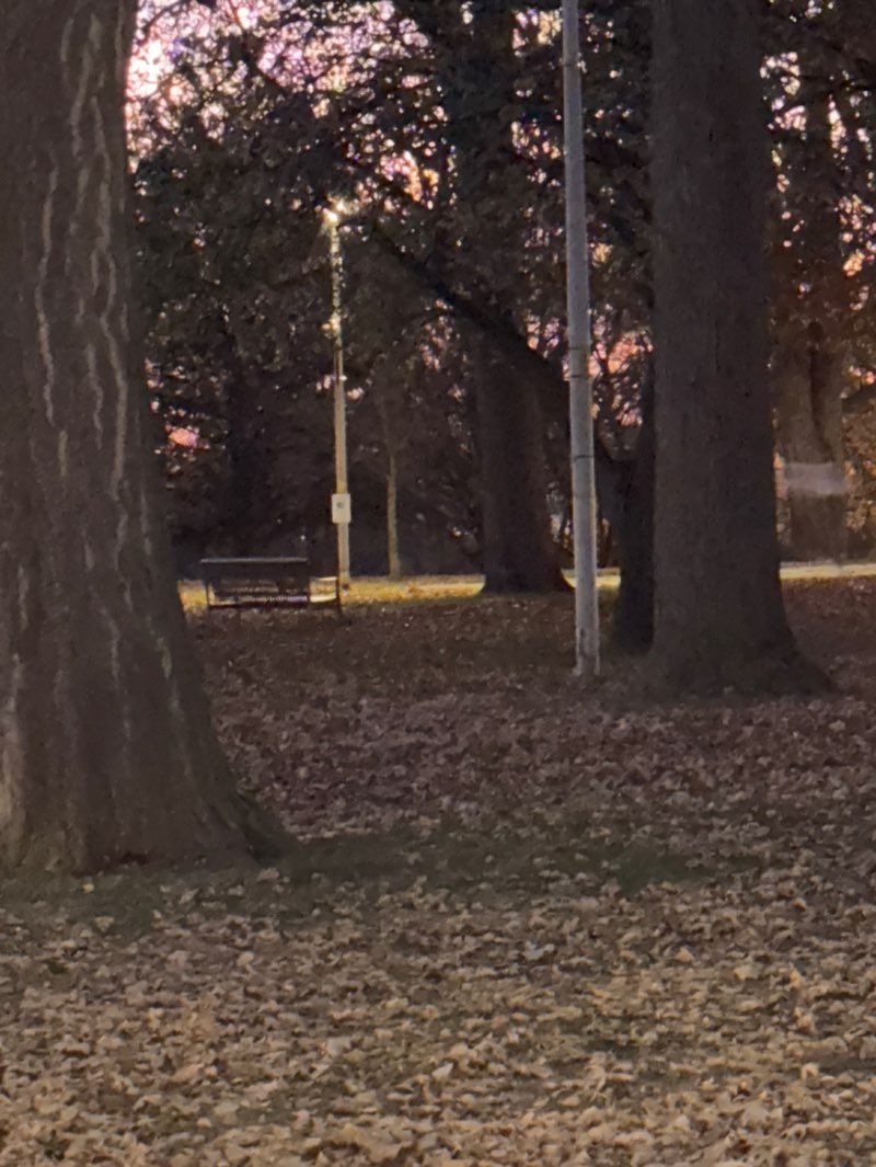 walking near me in Tecumseh Park in autumn