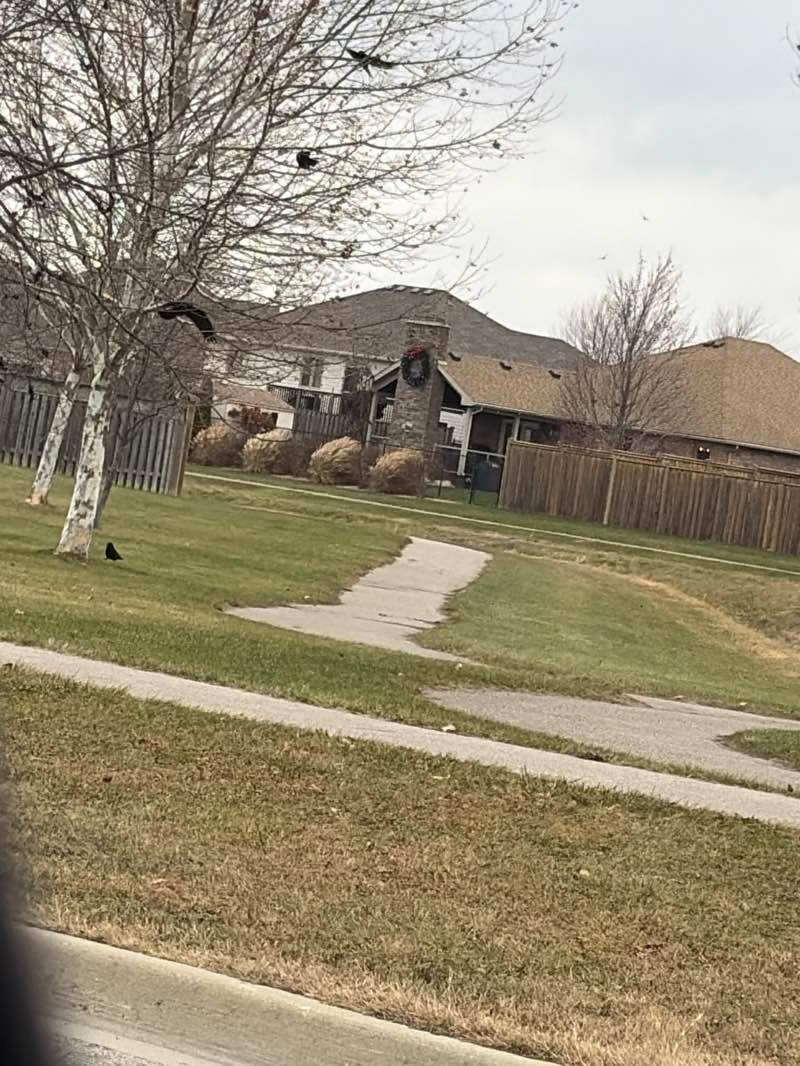walking near me in Southpointe Park in autumn