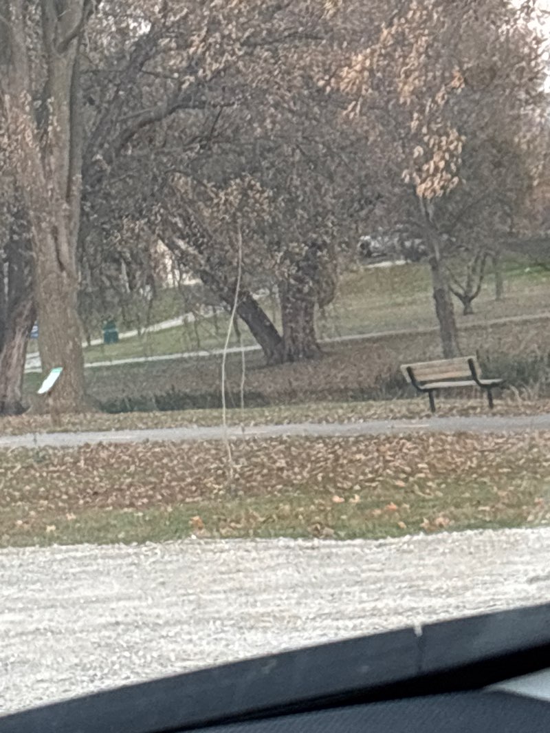 walking near me in Blythe Park in autumn