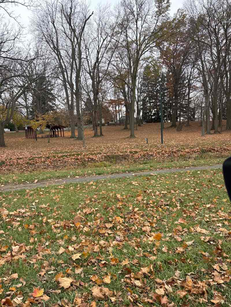 walking near me in Mickle Park in autumn