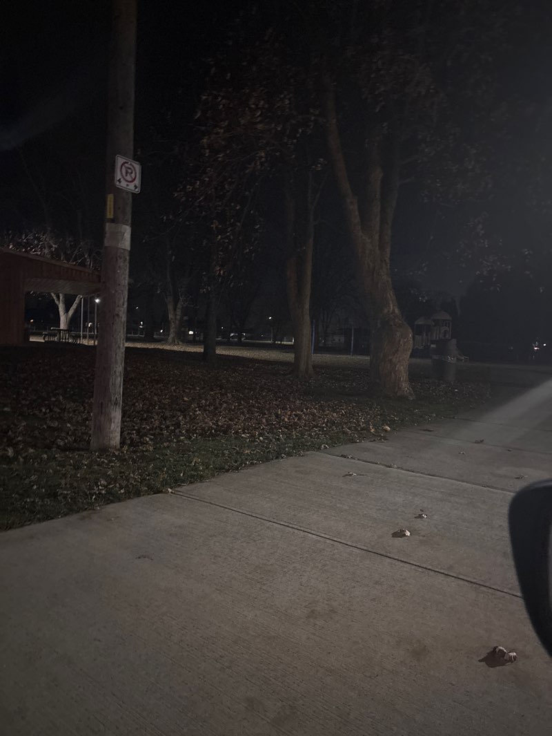 walking near me in Kinsmen Pee Wee Park in autumn