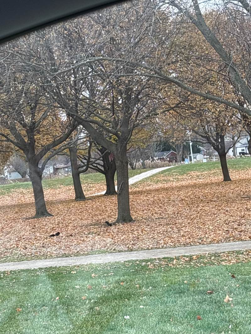 walking near me in Crothers Conservation Area in autumn