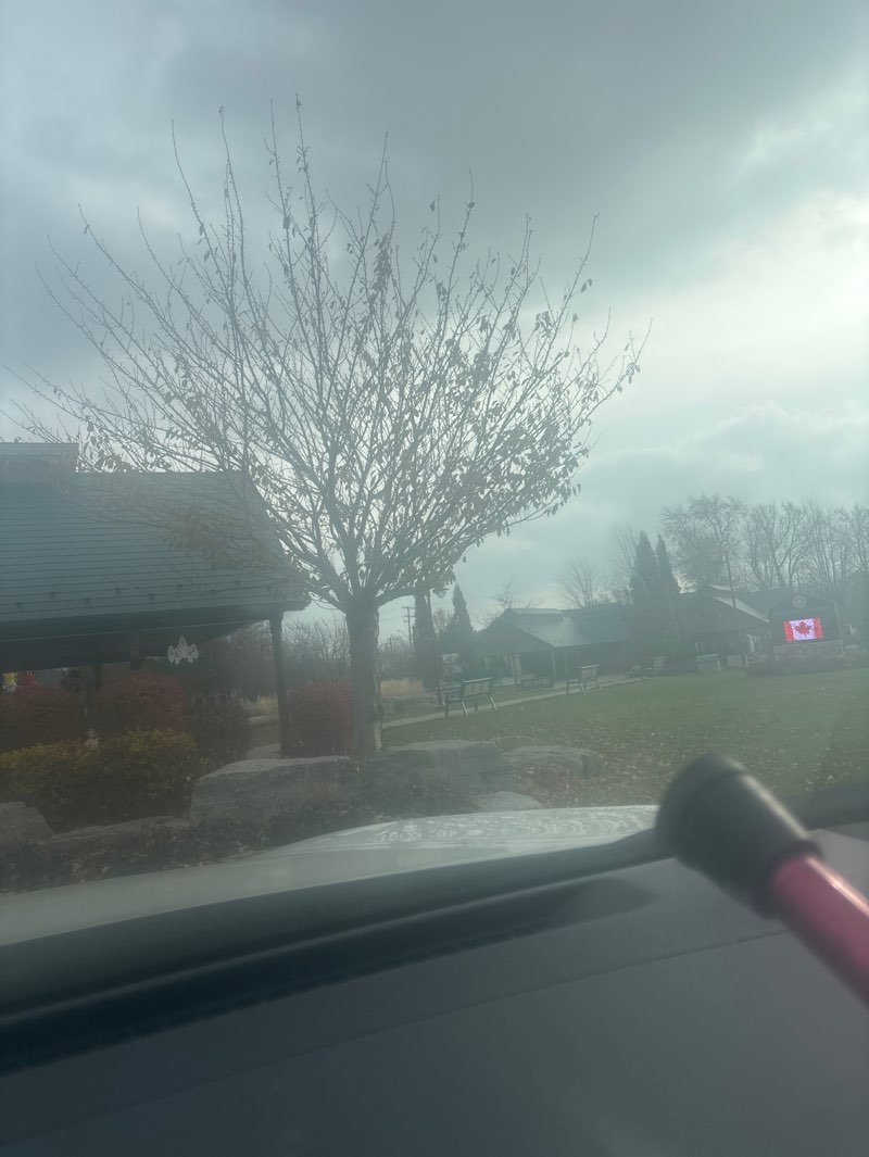 walking near me in Talbot Trail Place in autumn