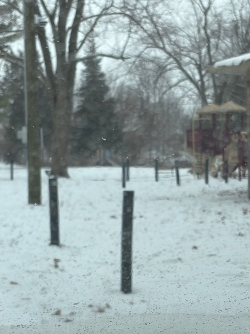 walking near me in McGregor Park in winter