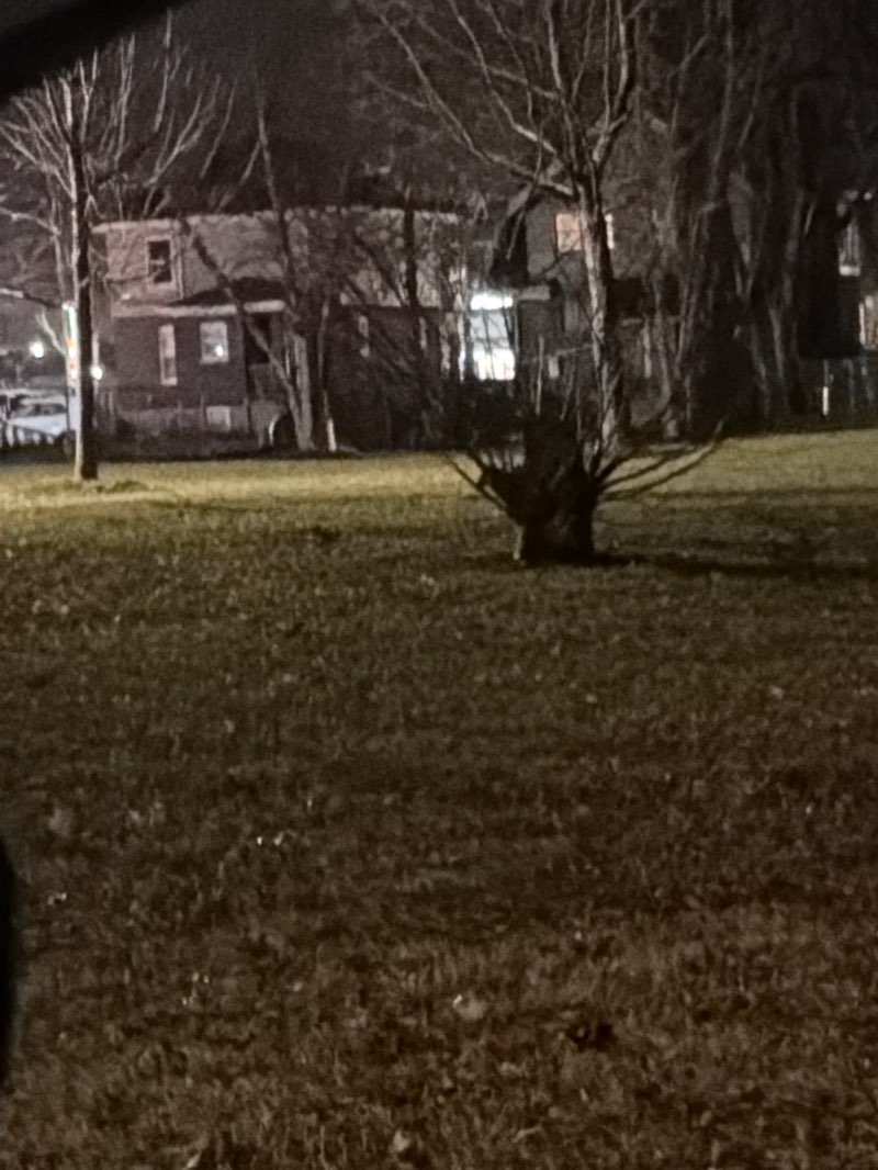 walking near me in McKenough Park in winter