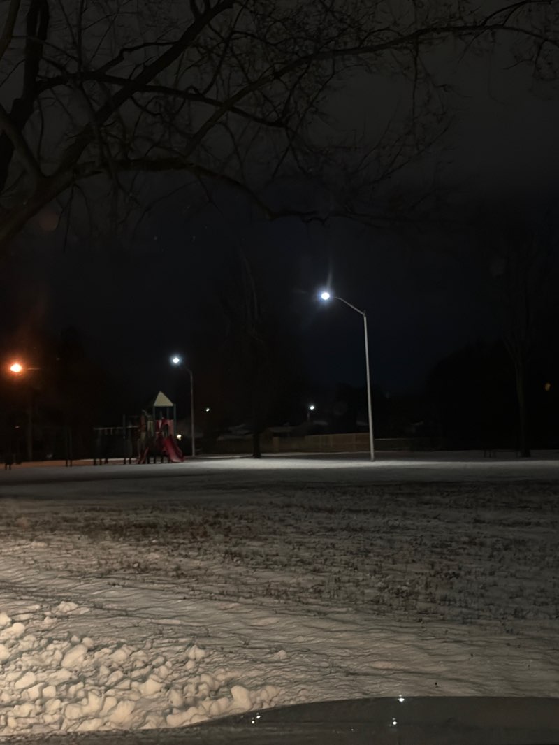 walking near me in Lions Park in winter