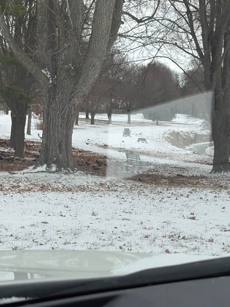 walking near me in Larry J O'Rourke Park in winter