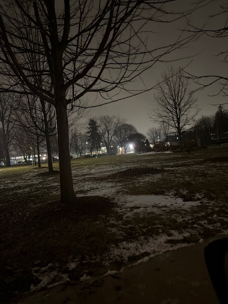 walking near me in McKenough Park in winter