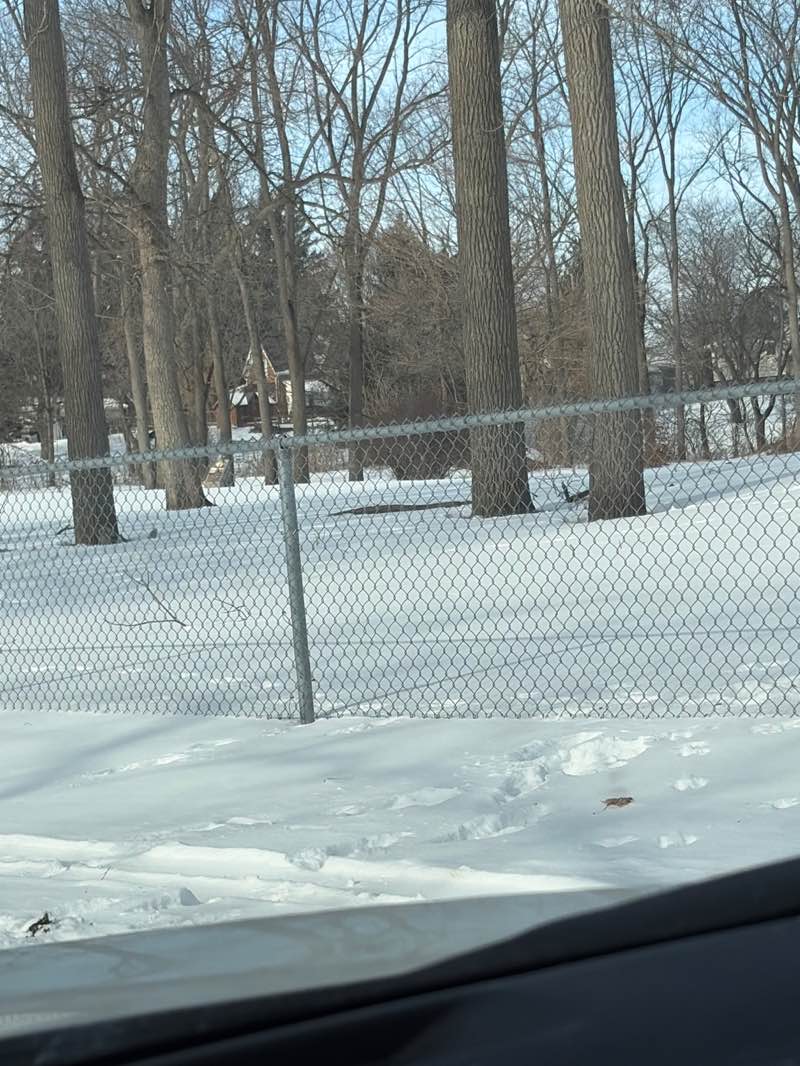 walking near me in McVean/Stranak Park in winter