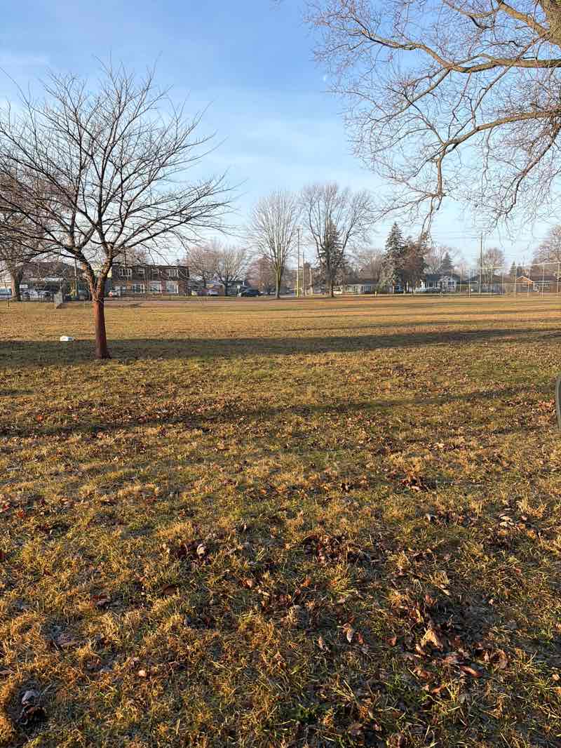 walking near me in Croydon Park in winter
