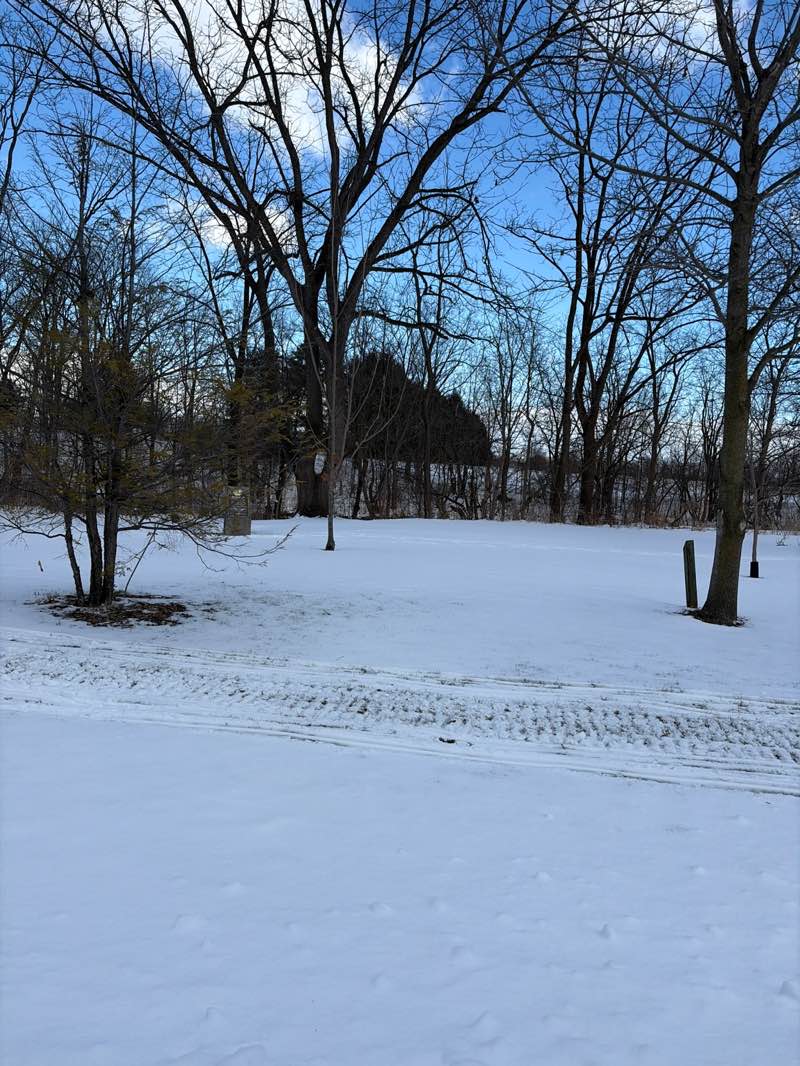 walking near me in Dresden Arboretum in winter