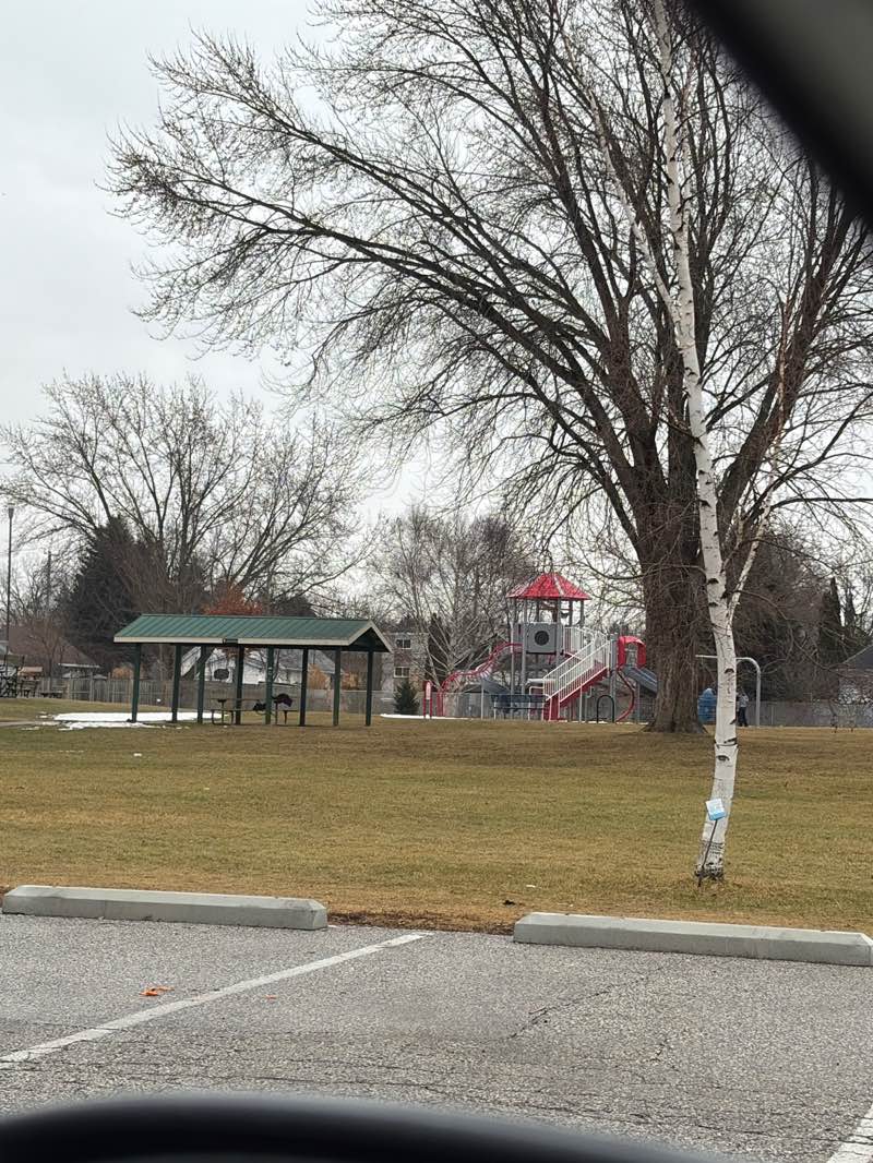 walking near me in Ross Babcock Park in winter