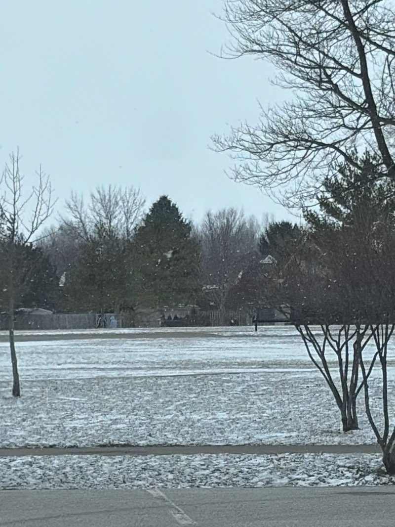 walking near me in Kingston Park in winter