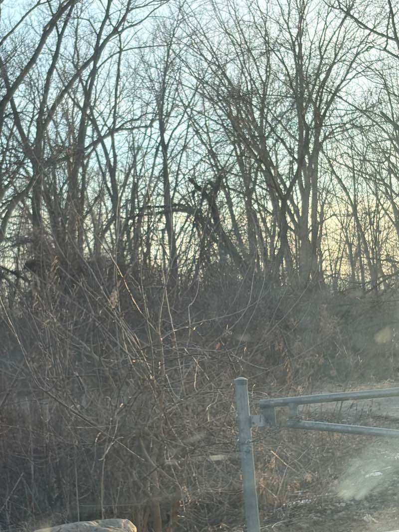 walking near me in Tilbury Northside Park in winter