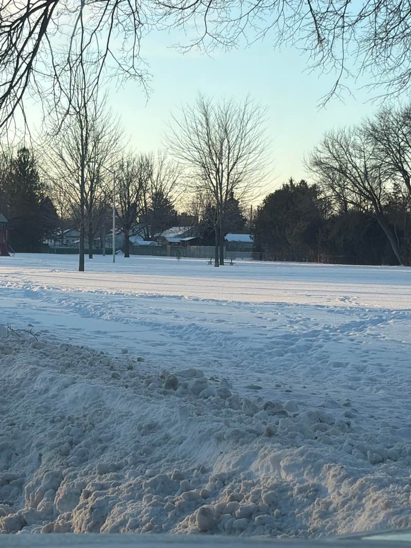 walking near me in Lions Park in winter