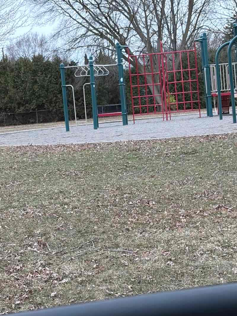 walking near me in Lions Park in spring