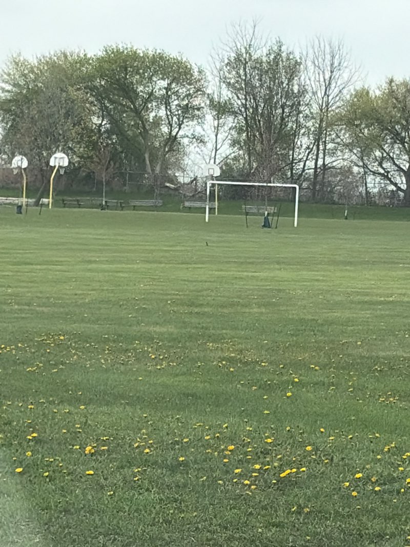 walking near me in Elgin Park in spring
