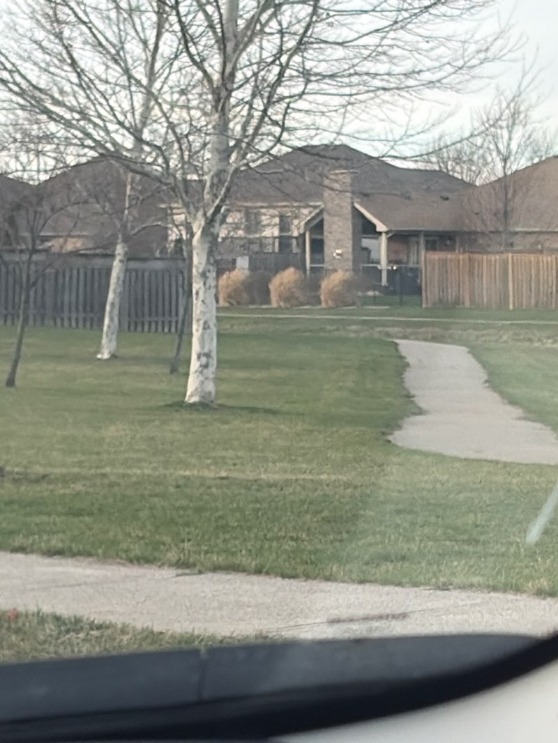 walking near me in Southpointe Park in spring