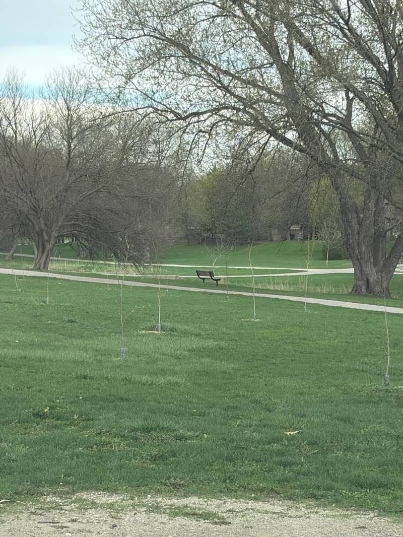 walking near me in Blythe Park in spring
