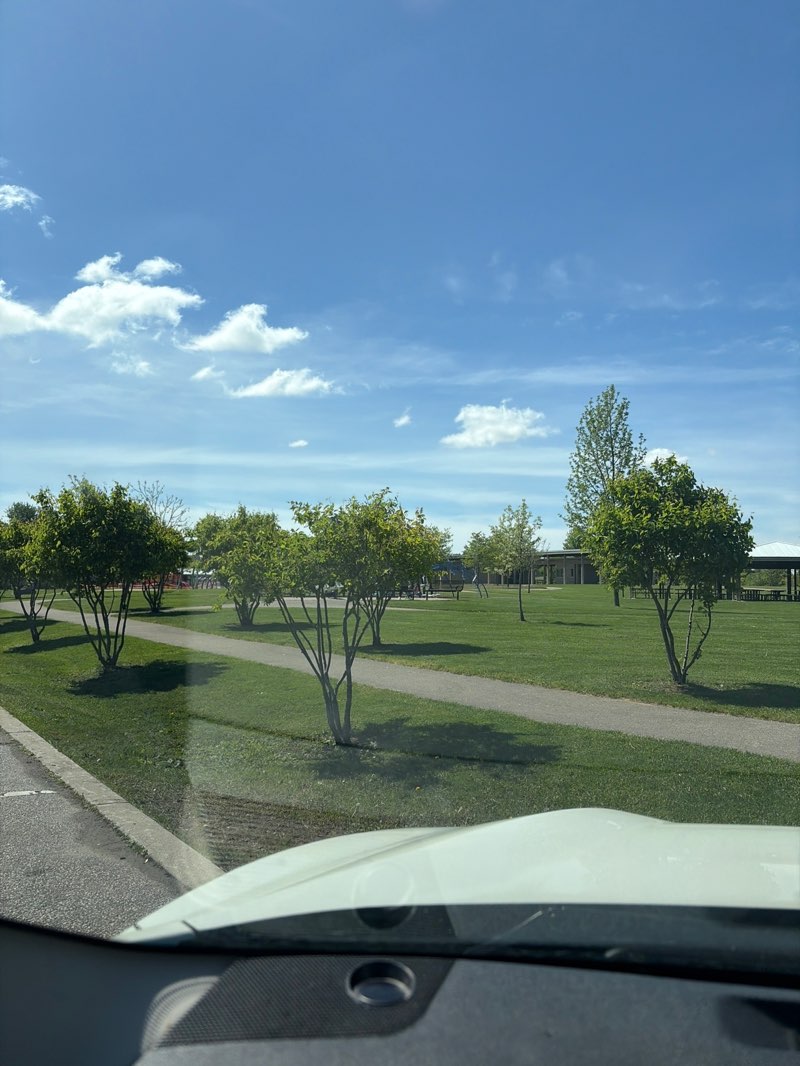 walking near me in Kingston Park in summer