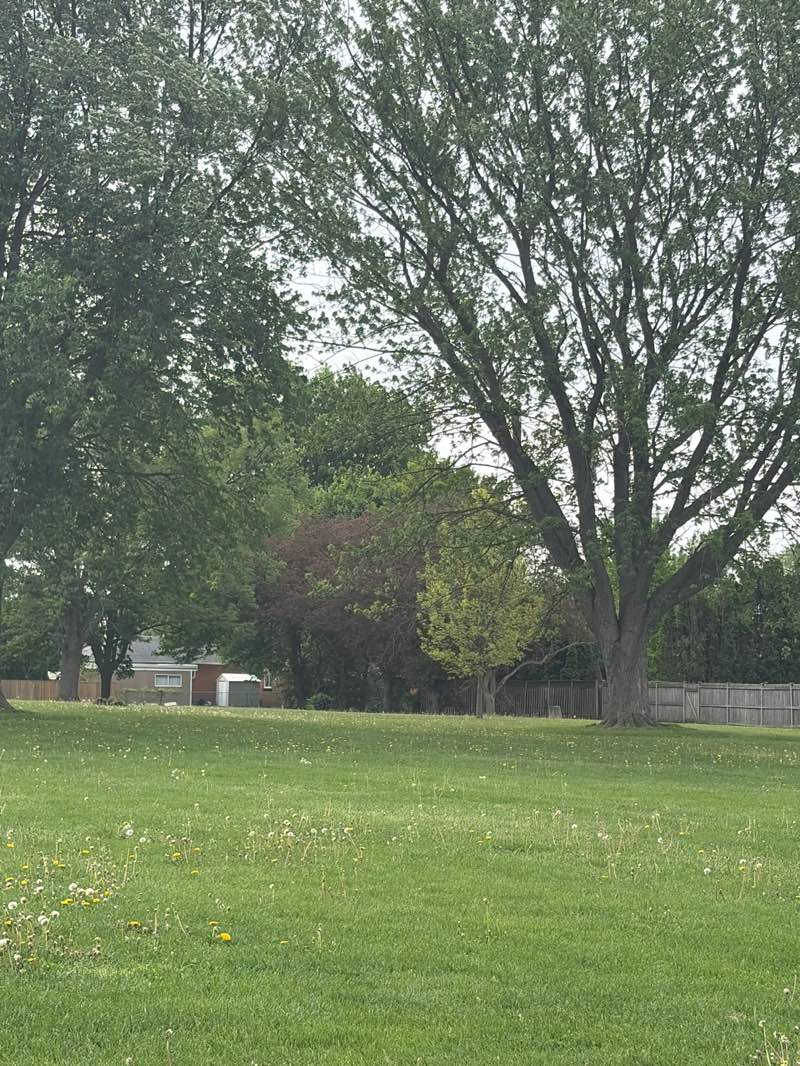 walking near me in Ross Babcock Park in summer