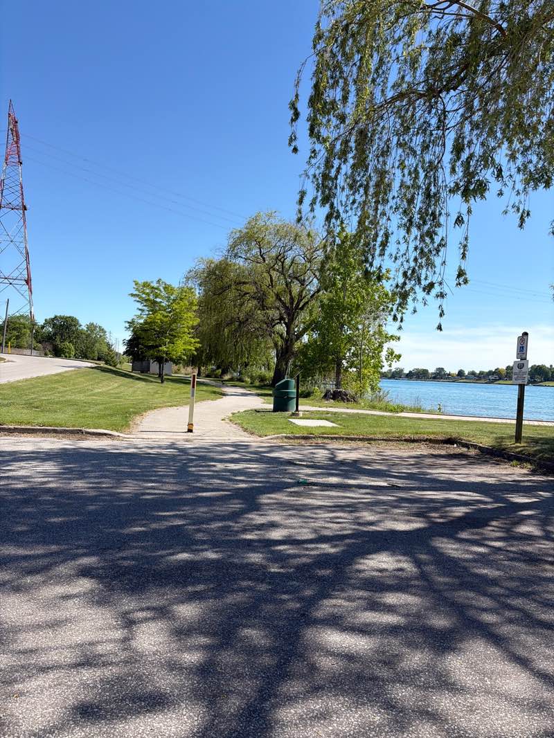 walking near me in Willow Park in summer