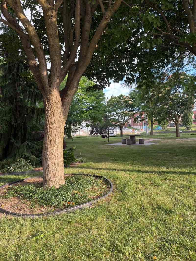 walking near me in Veterans Tribute Garden in summer