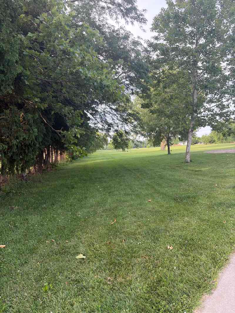 walking near me in Meadowbrook Park in summer
