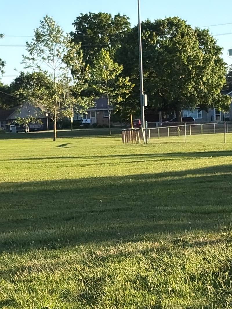 walking near me in Turner Park in summer