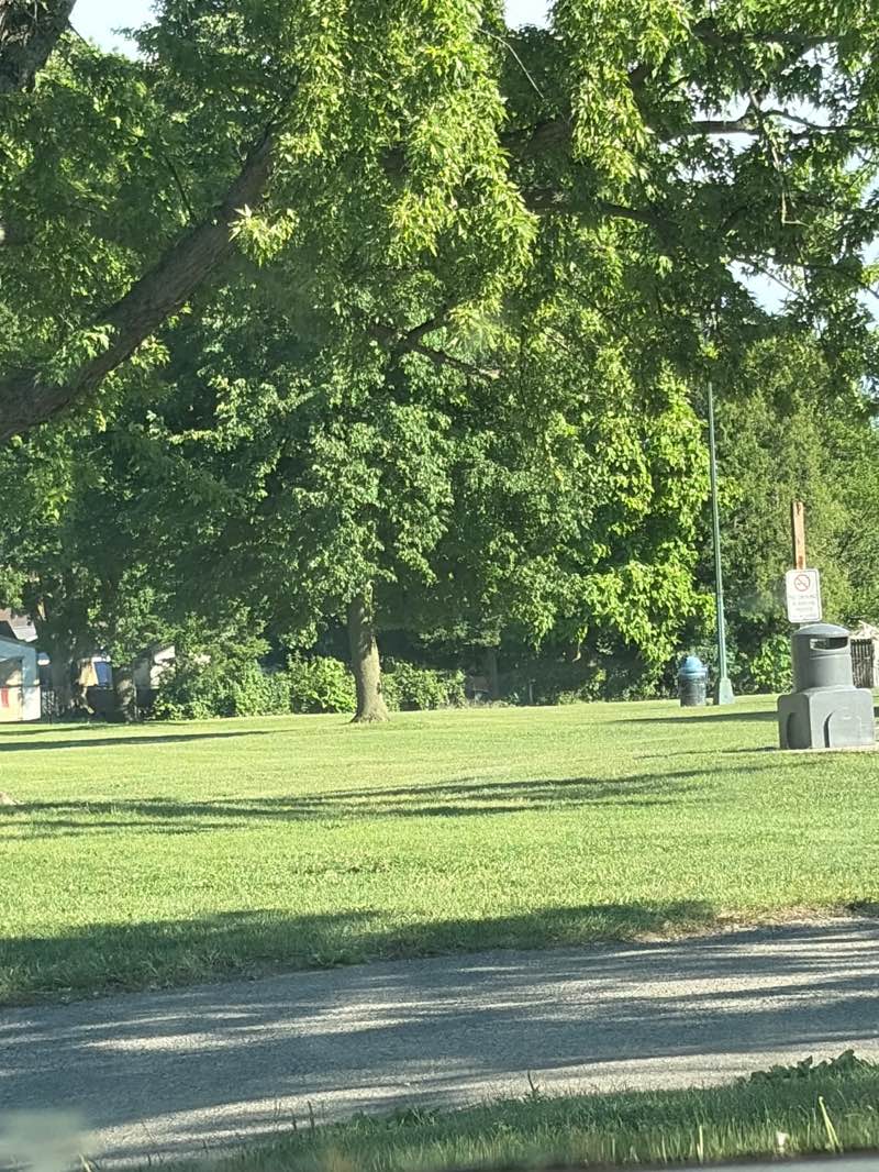 walking near me in Lions Park in summer