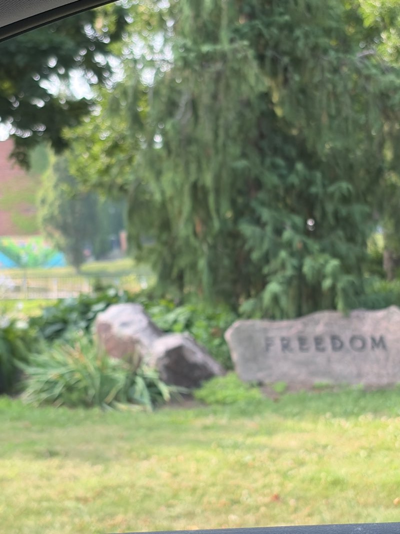 walking near me in Veterans Tribute Garden in summer