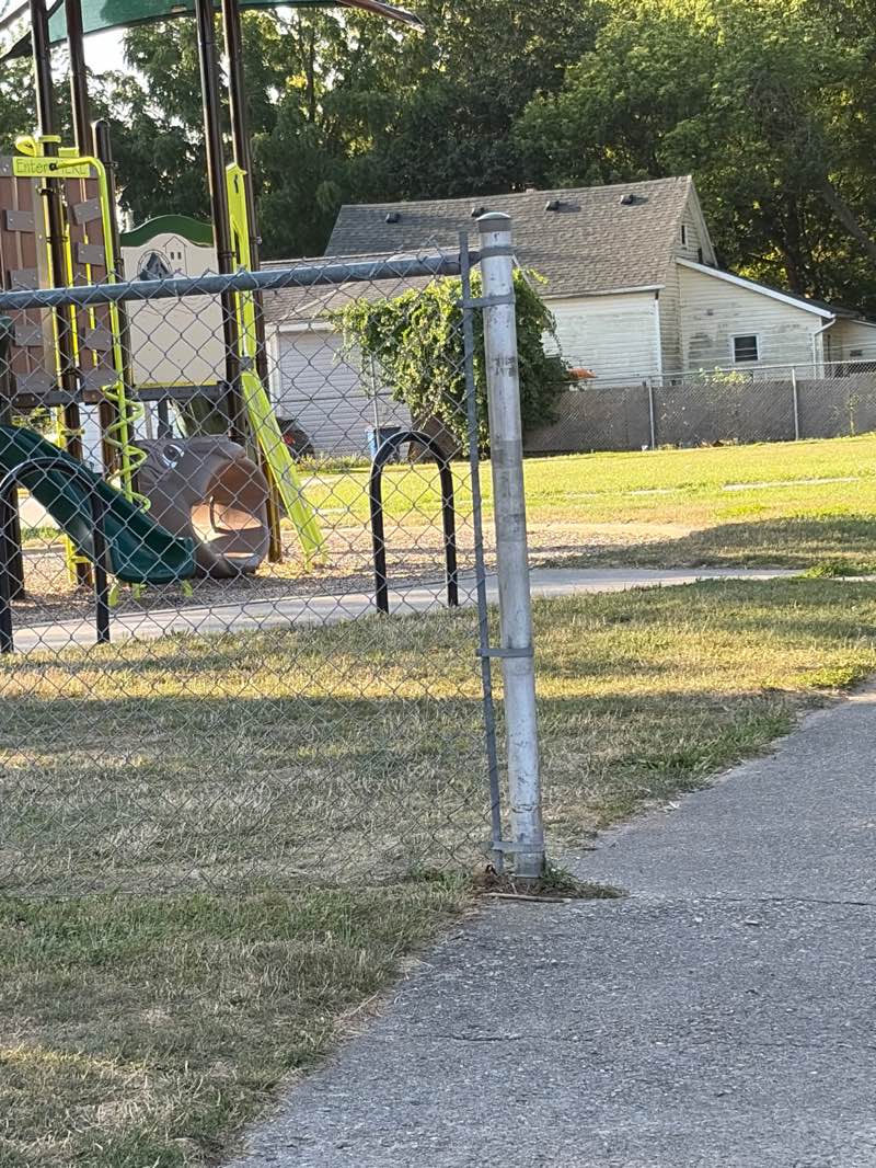 walking near me in Stirling Park in summer