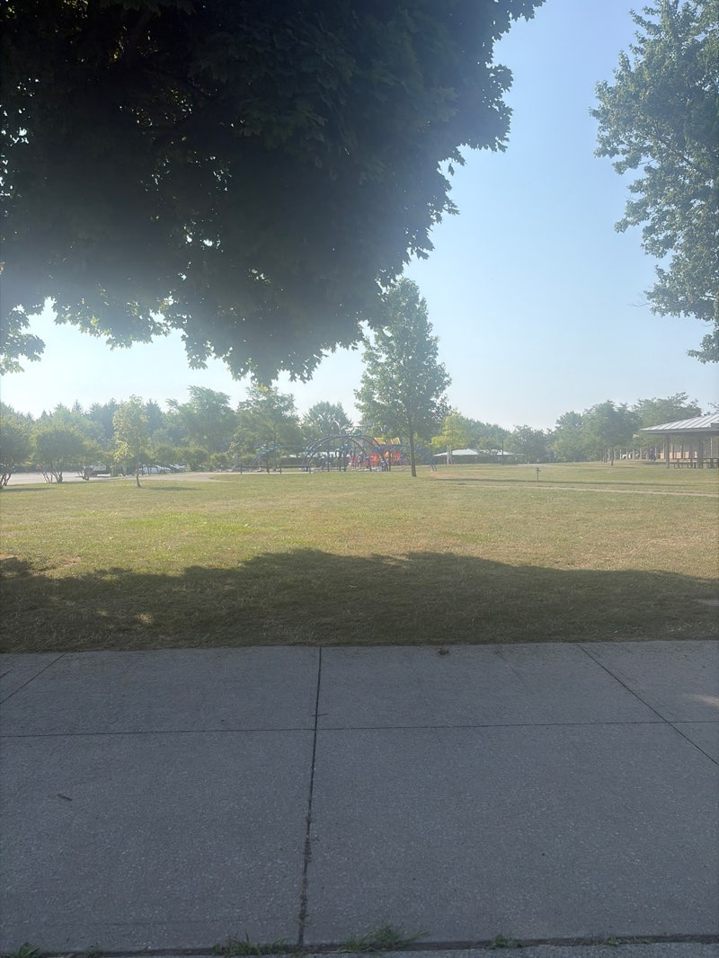 walking near me in Kingston Park in summer