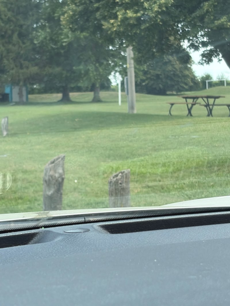 walking near me in Glen Mickle Park in summer