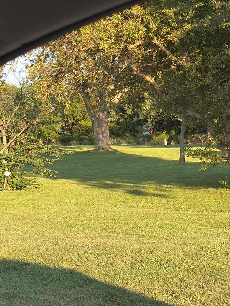 walking near me in Ross Babcock Park in summer