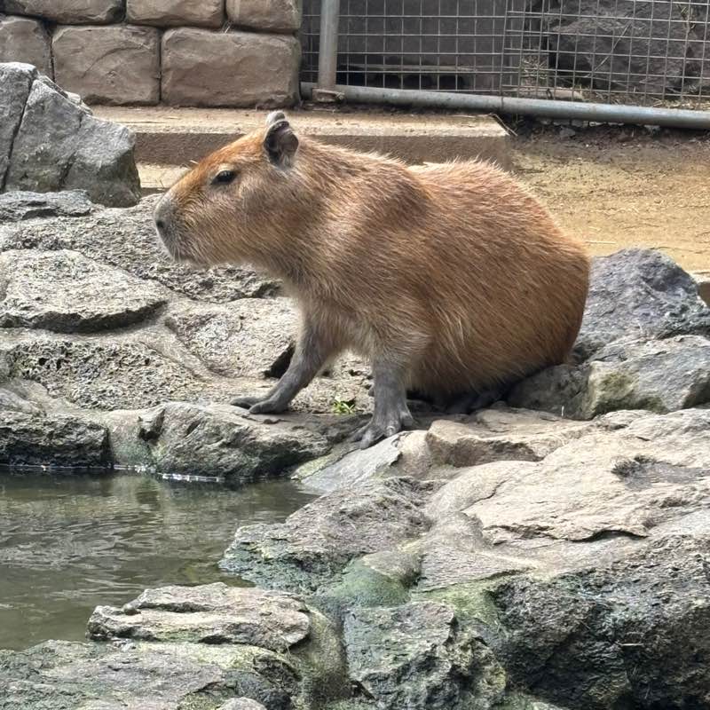 和美