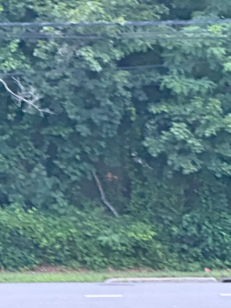 walking near me in Bethpage State Park in summer