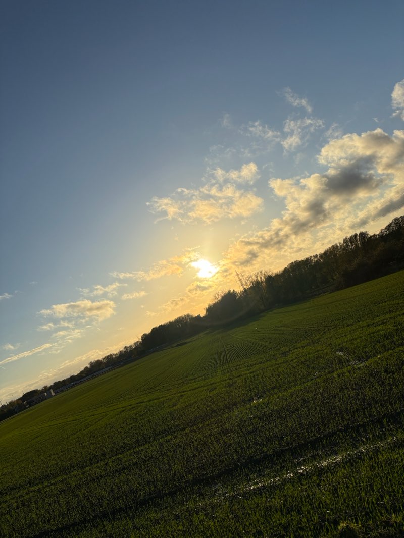 walking near me in Rozekensbos in autumn